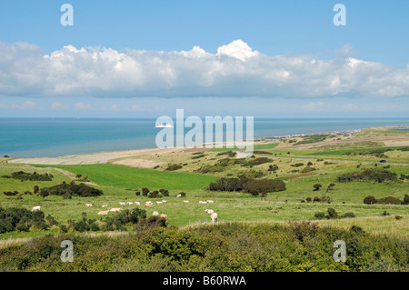 Kühe, Weide, Schiff, Meer, Küste, Landschaft, Cap Blanc Nez, Sangatte, Opale, Nord Pas De Calais, Frankreich, Europa Stockfoto