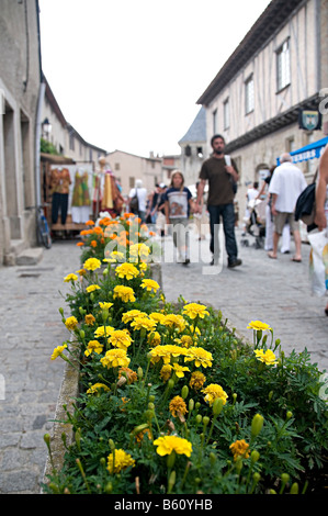 gelbe Blumen in Anlage Wannen in la cite Carcassonne mit Touristen zu Fuß vorbei an Stockfoto