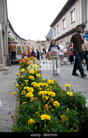 gelbe Blumen in Anlage Wannen in la cite Carcassonne mit Touristen zu Fuß vorbei an Stockfoto