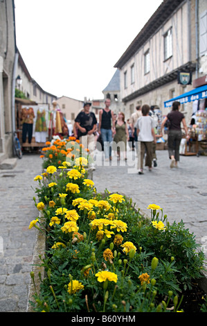 gelbe Blumen in Anlage Wannen in la cite Carcassonne mit Touristen zu Fuß vorbei an Stockfoto