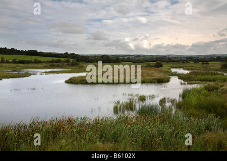 Walmsley Bird Sanctuary Wadebridge cornwall Stockfoto