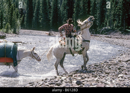 Eine amerikanische Cowboy führt ein Lastesel der Lieferungen über einen Fluss auf einer Rinderfarm hoch in den Westhang des Teton, Wyoming. Stockfoto