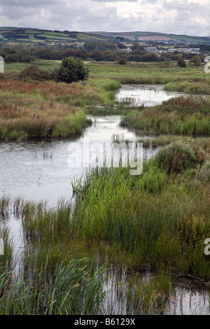 Walmsley Bird Sanctuary Wadebridge cornwall Stockfoto