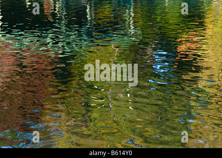 Abstrakte Muster, im Herbst Farben, der Bäume in den Teich an Boston Public Garden, einer der Smaragdhalskette Parks in Boston, USA wider Stockfoto