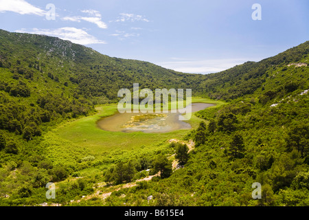 Kleiner Pool, Insel Mljet, Dubrovnik-Neretva, Dalmatien, Kroatien, Europa Stockfoto