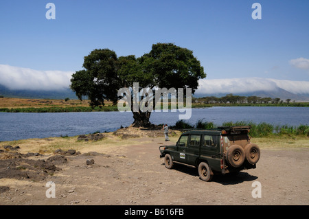 Moor vor der Wolke bedeckt Rand des Ngorongoro-Krater, Ngorongoro Conservation Area, Tansania, Afrika Stockfoto