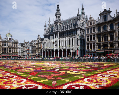 Blumenteppich am Grand Place mit Gotic House des Königs oder des Broodhuis Maison du Roi-Brüssel-Brabant-Belgien Stockfoto