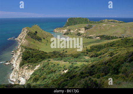 Küste, Nr Tolaga Bay, Neuseeland - Johannes Gollop Stockfoto