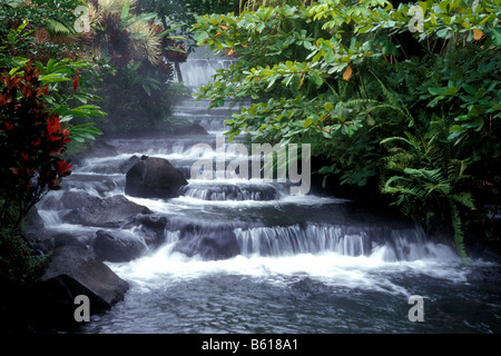 Tabacon hot springs in der Nähe von Vulkan Arenal, Costa Rica, Mittelamerika Stockfoto