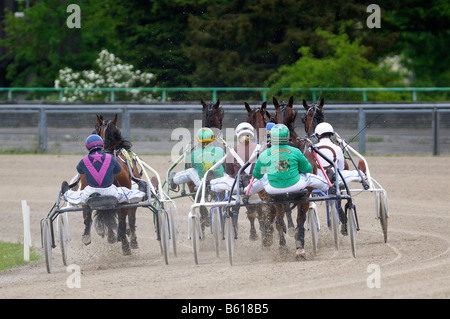 Traber Rennen, Traber, Daglfing, München, Bayern, Oberbayern Stockfoto