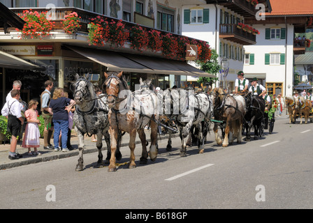 Wagen und sechs Noriker-Pferden beim Rottacher Rosstag Festival, Rottach-Egern am Tegernsee, Oberbayern Stockfoto