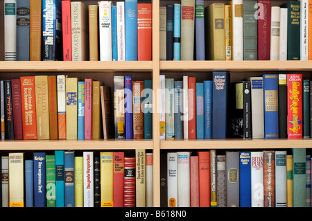 Bücherregal mit Büchern gefüllt Stockfoto