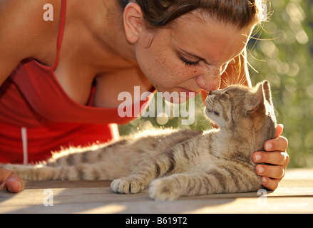 Jung grau Tabby Katze Knutschen mit einer Frau Stockfoto