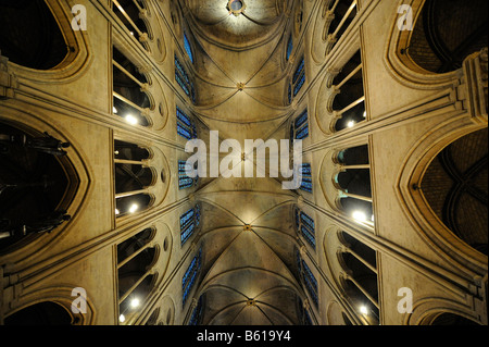 Innenansicht der Notre Dame de Paris, Paris, Frankreich, Europa Stockfoto