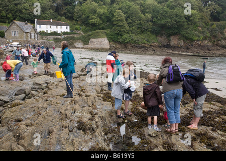 Menschen Rock pooling bei Durgan cornwall Stockfoto