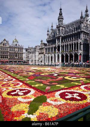 Blumenteppich am Grand Place mit Gotic House des Königs oder des Broodhuis Maison du Roi-Brüssel-Brabant-Belgien Stockfoto