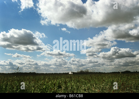 Segelboot auf Norfolk Broads, UK Stockfoto