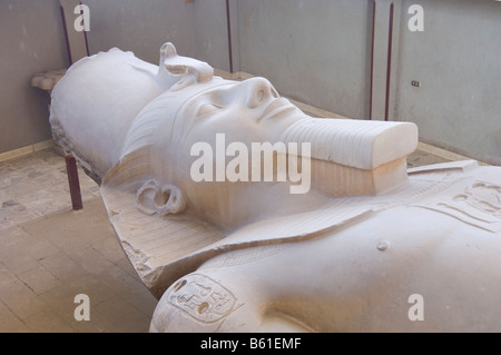 Der Koloss des Ramses II liegt im Museum in Memphis Ägypten Stockfoto