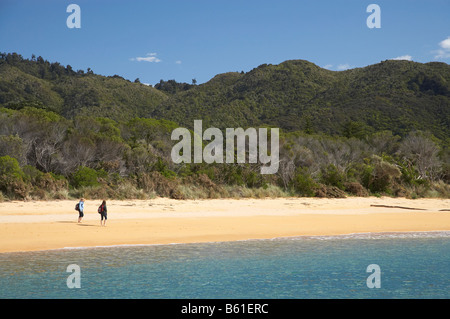 Wanderer Abel Tasman Coastal Track Totaranui Abel Tasman Nationalpark Nelson Region Südinsel Neuseeland Stockfoto