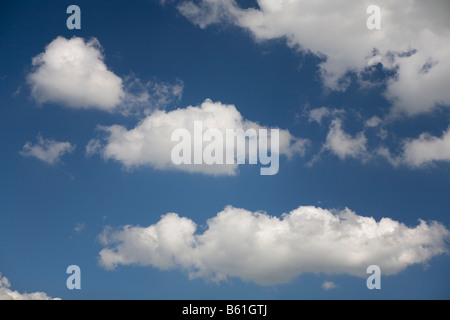 Cumulus-Wolken vor blauem Himmel Stockfoto