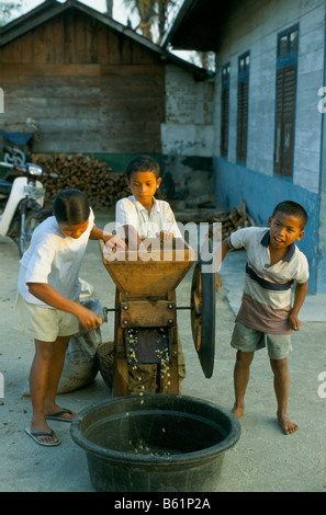 Kinder Betrieb eine Kaffeekirschen de-zerdrücken Maschine, Sumatra, Indonesien Stockfoto