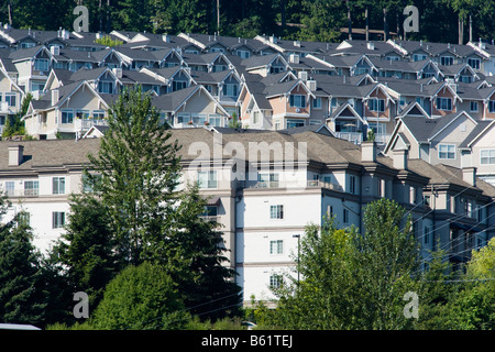 Eine Wohnsiedlung am Fuße eines Hügels in Issaquah, Washington, Vereinigte Staaten Stockfoto