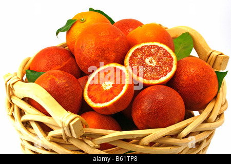 Orangen 'Sanguinelli' Stockfoto