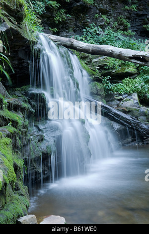 Cayuga Falls Ricketts Glen State Park-Pennsylvania Stockfoto
