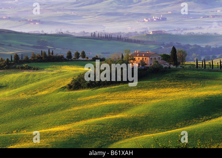 Bauernhaus in der Nähe von San Qurico d ' Orcia, Toskana, Italien, Europa Stockfoto