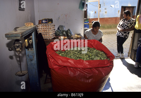 Wog der Coca-Blätter für den traditionellen Gebrauch im Ladengeschäft Coroico Dorf Los Yungas Boliviens Stockfoto