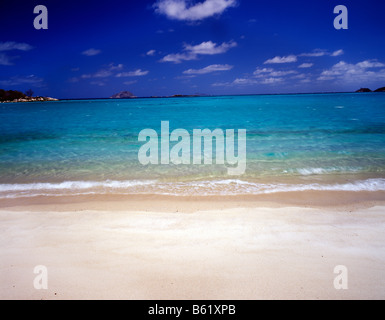 Strand im Blue Lagoon Lizard Island National Park Australien Great Barrier Reef Marine Park Süd-Pazifik Coral Sea Stockfoto