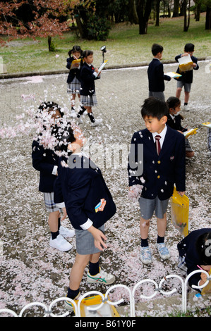 Schülerinnen und Schüler in der Uniform eines elitären Grundschule deckt sich mit Kirschblüten während aktives Lernen l Stockfoto