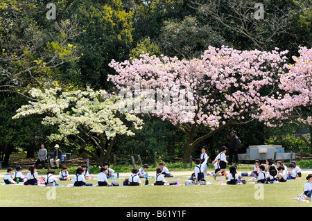 Schülerinnen und Schüler in der Uniform eines elitären Grundschule während des Mittagessens brechen im Botanischen Garten in Kyoto, Japan, Stockfoto