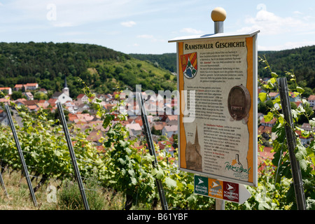 Infotafel auf einem Weingut in Ramsthal, Rhön, untere Franken, Bayern, Deutschland, Europa Stockfoto