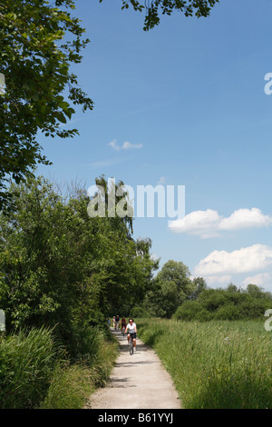 Cycle Track und Wanderweg in der Nähe von Prien, Chiemgau, Oberbayern, Deutschland, Europa Stockfoto