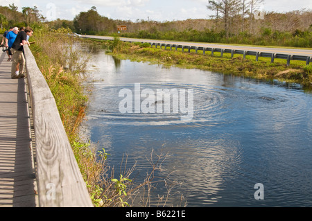 Promenade von Canal an der Big Cypress National erhalten Besucher Center Everglades uns 41 Tamiami Trail Florida Stockfoto