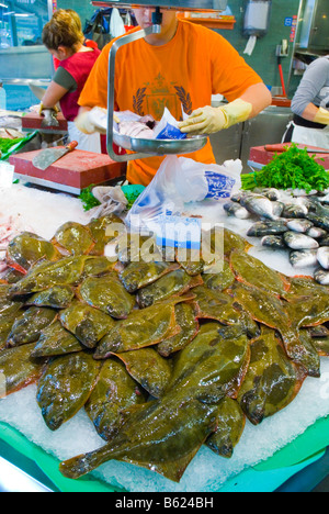 Meeresfrüchte-Stall an Santa Caterina Markt in Barcelona-Spanien-Europa Stockfoto