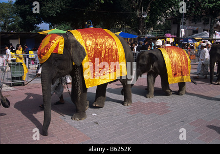 Eine Prozession von verzierten asiatischen Elefanten während des jährlichen Thaipusam Festival in Batu Höhlen in der Nähe von Kuala Lumpur, Malaysia Stockfoto