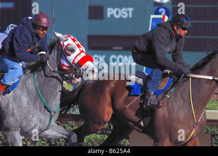 Jockeys auf einer amerikanischen Pferderennen Rennpferde verfolgen Stockfoto