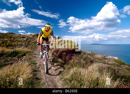 Mountainbiker, Howth, Dublin, Irland, Europa Stockfoto