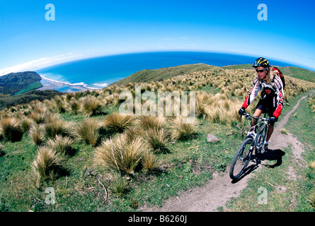 Mountainbiker, Cheviot, East Coast, Südinsel, Neuseeland Stockfoto