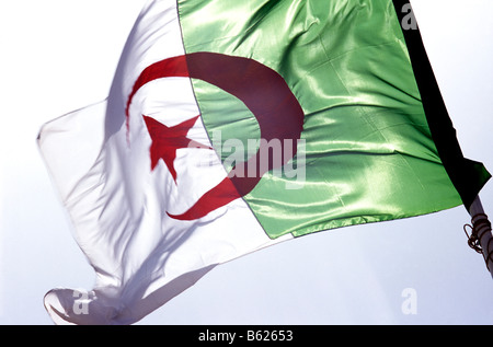 Flagge, Algerien Stockfoto