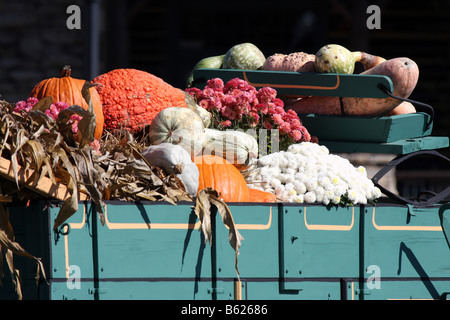 Herbst-Dekorationen in einem hölzernen Wagen voller Kürbisse Kürbisse Maisstroh und Blumen Branson Missouri Stockfoto