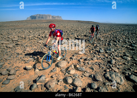 Mountainbiker, die auf einem Kamel reiten verfolgen, Ahaggar-Nationalpark, Ahaggar Berge, Algerien, Afrika Stockfoto