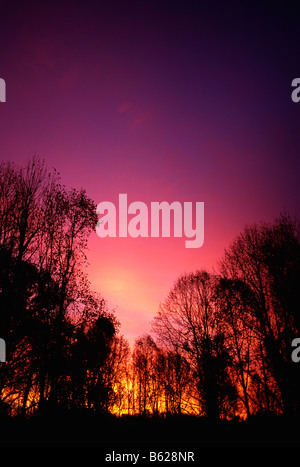 Brillante Sonnenaufgang Himmel über Laubwald, Chester County, Pennsylvania, USA Stockfoto