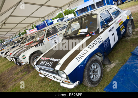 1970 Ford Escort Mk1 RS1600 im Fahrerlager beim Goodwood Festival of Speed, Sussex, UK. Stockfoto