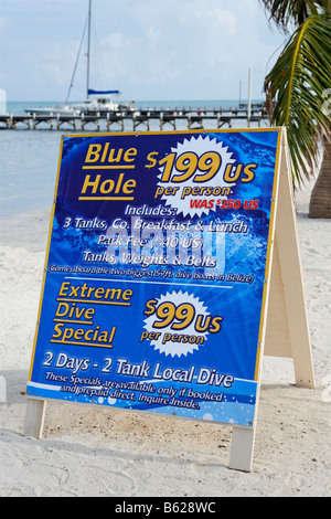 Zeichen bieten Tauchen Specials in San Pedro, Ambergris Cay Insel, Belize, Mittelamerika, Karibik Stockfoto