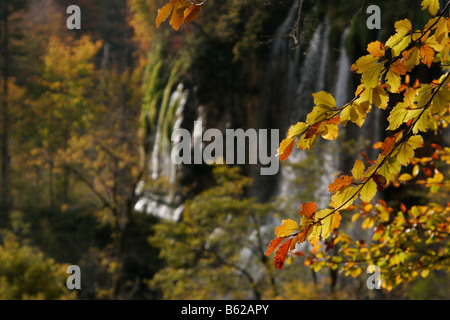 Wasserfall im Nationalpark Plitvicer Seen in Zentral-Kroatien, Europa Stockfoto