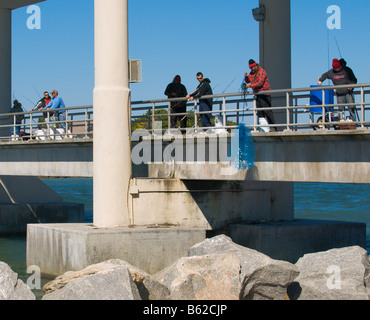 BRINGT IN EINEM CAST-NETZ VON FINGER-MEERÄSCHE AN SEBASTIAN INLET AN DER ATLANTIKKÜSTE VON FLORIDA Stockfoto