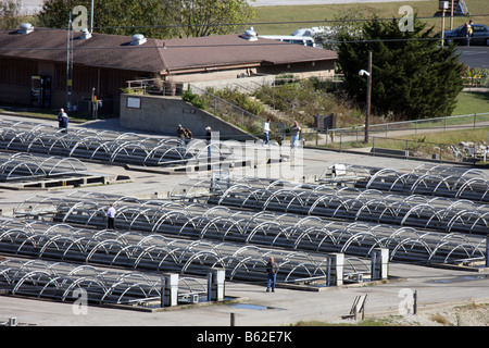 Luftaufnahme des Hirten von den Hügeln Fish Hatchery, die Forelle für die Sportfischerei in den umliegenden Seen in Missouri auslöst Stockfoto